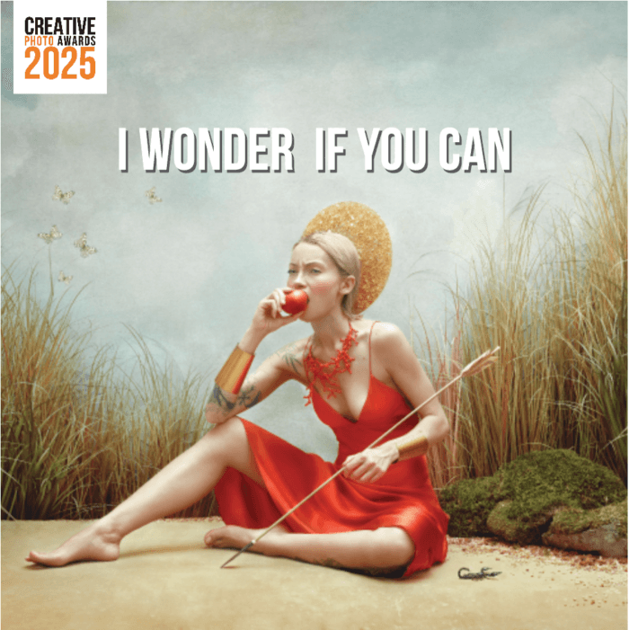 I Wonder if You Can