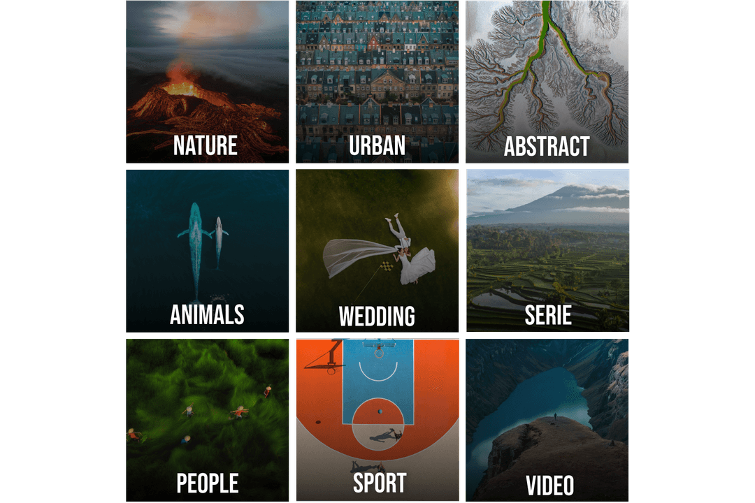 9 CATEGORIES