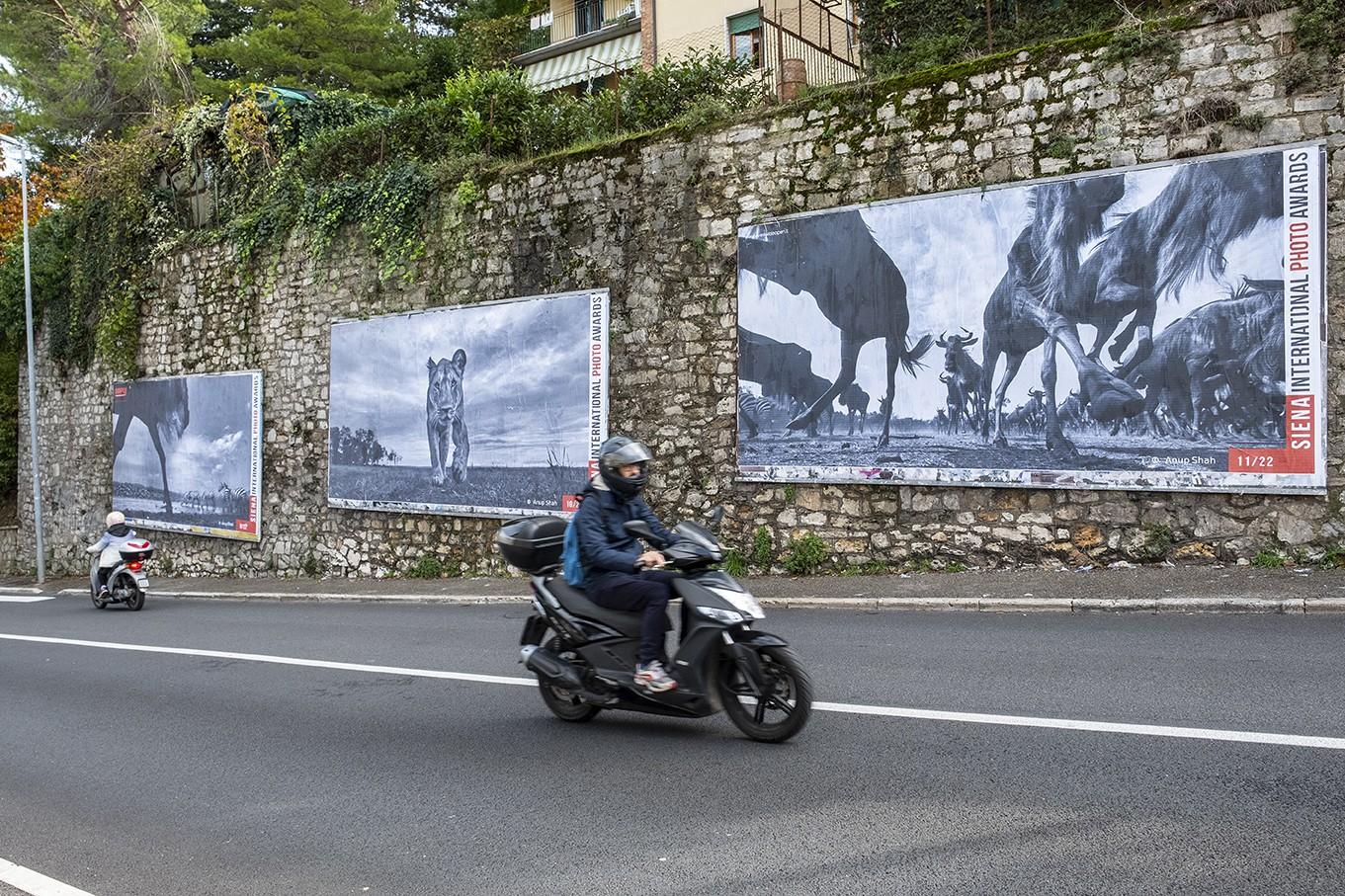 Exhibition "Eyes Wide Open"
