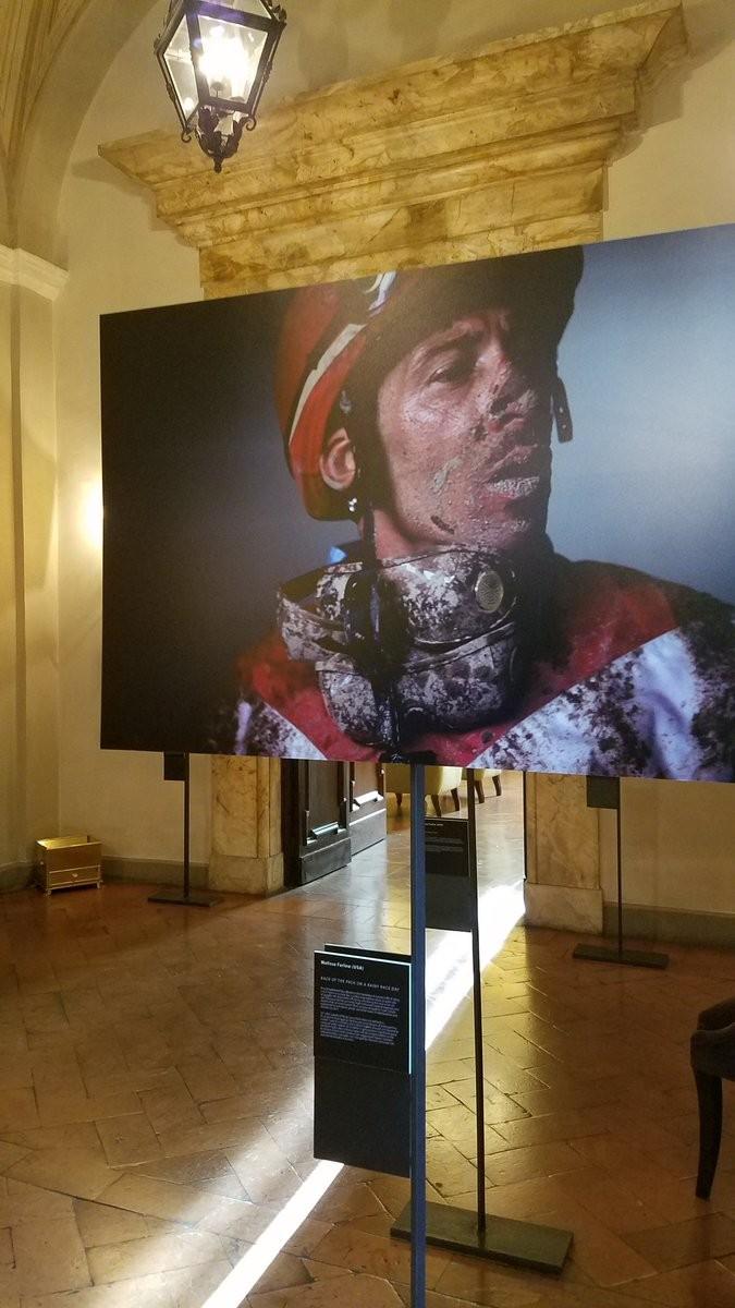 Exhibition "Mustangs and Thoroughbreds WILD AT HEART" by Melissa Farlow at the Grand Hotel Continental