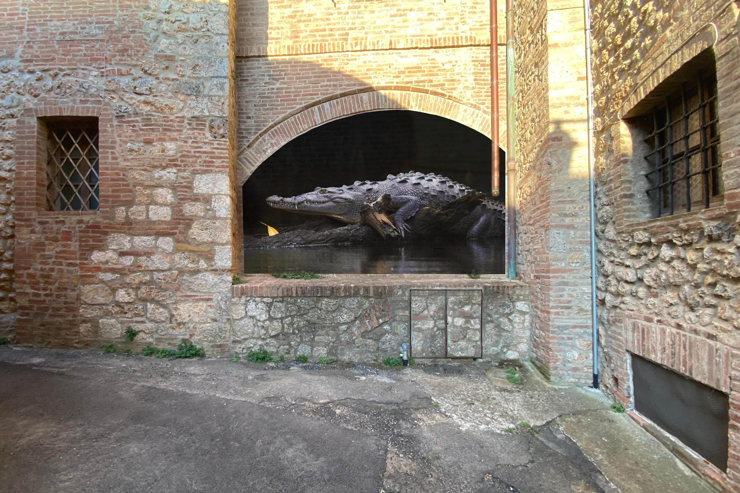 "Animalia” exhibition in Comune di Sovicille