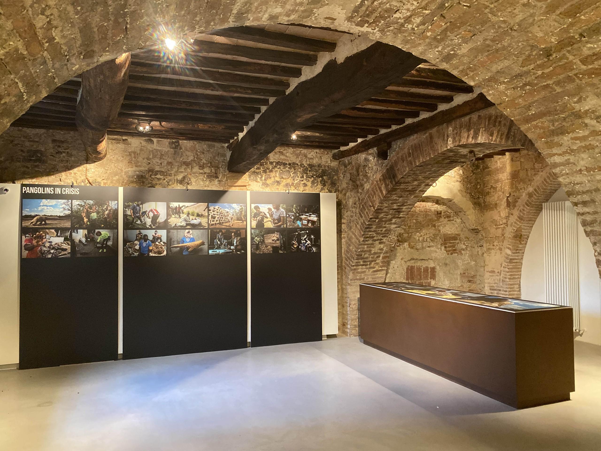 The "Brent Stirton, an icon of photojournalism” exhibition at Cultural Center “La Tinaia” - Comune di Sovicille