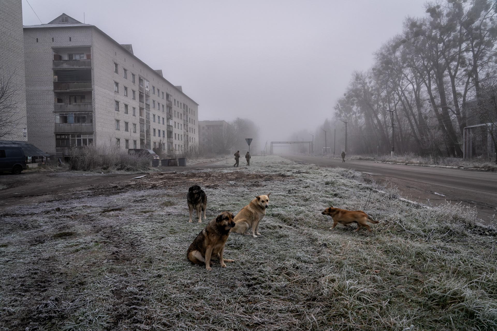 Chernobyl: Memory of a Disaster